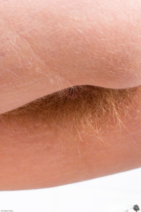plavuša dlakava pička vrući porno slike