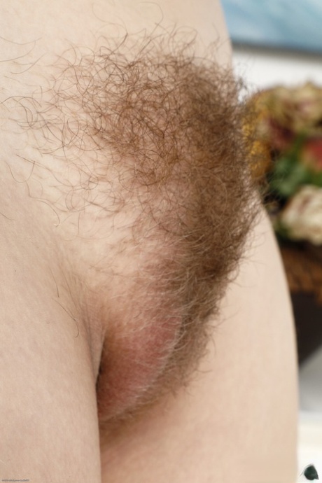 harige tienerkut behoorlijk pornografisch afbeelding