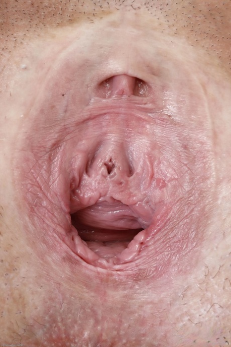gabende fisse top porno billeder