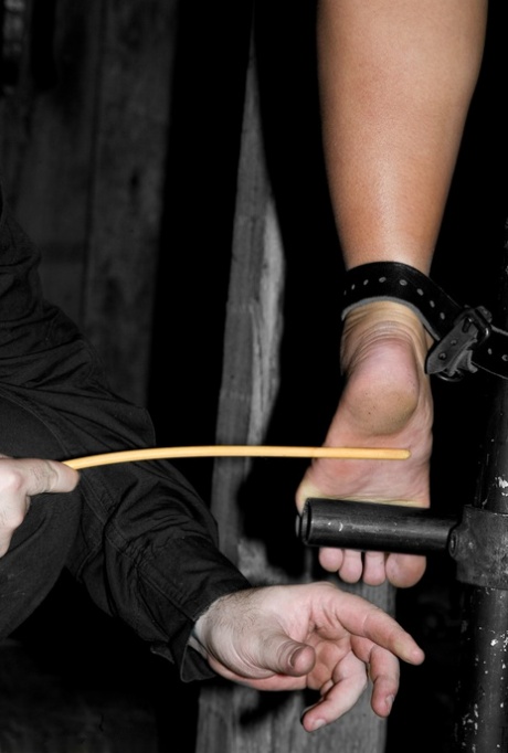 bdsm feet nice photos