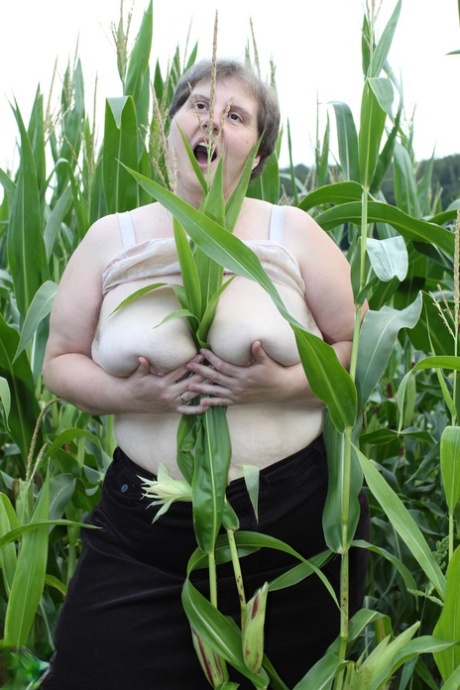 gemuk dicukur xxx gratis img
