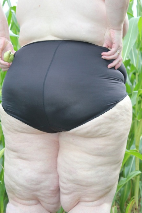 culottes bbw beau pornographique collection