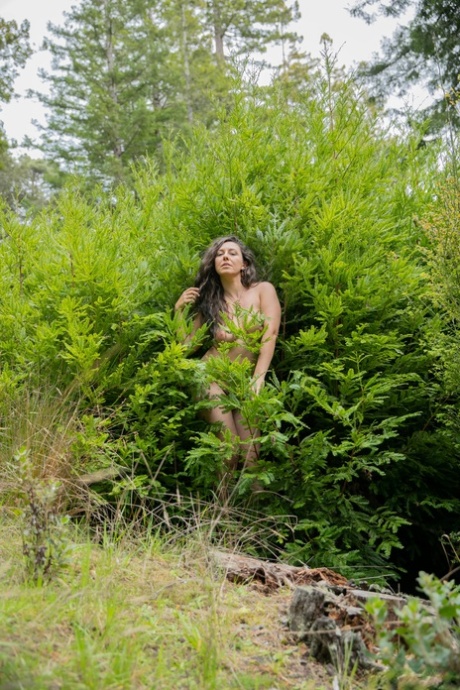 Nikki Silver porn actress image