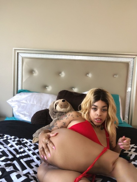 coño grande y gordo hermosa alta calidad fotos