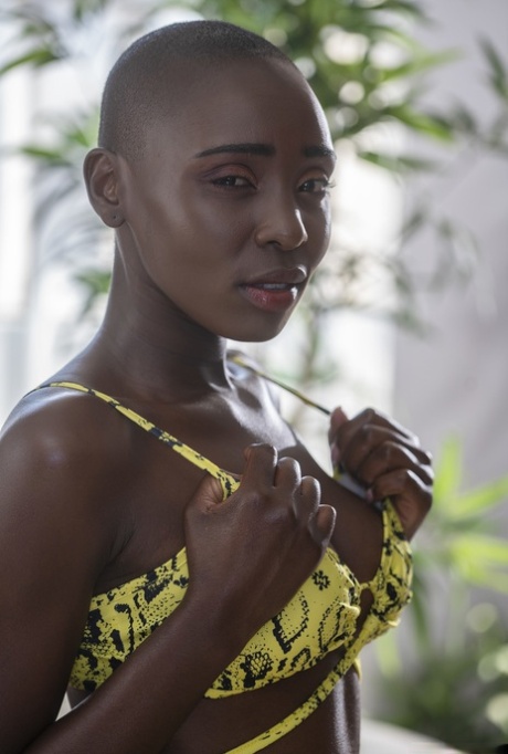 dark skin pornos pics