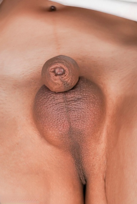 mali penis transvestita besplatno fotografija