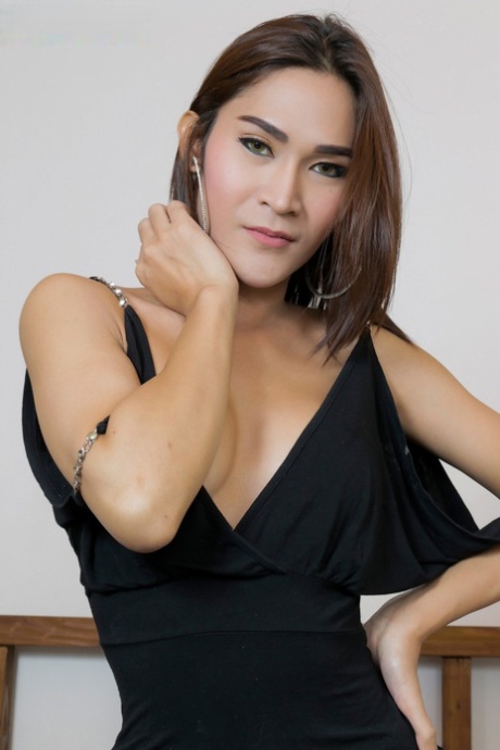sexig ladyboy pornografisk nice samling