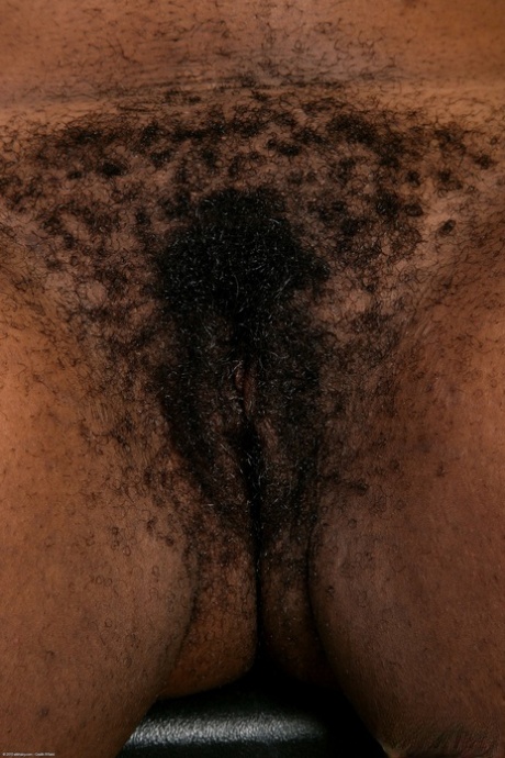 tyk behåret hd porno Foto