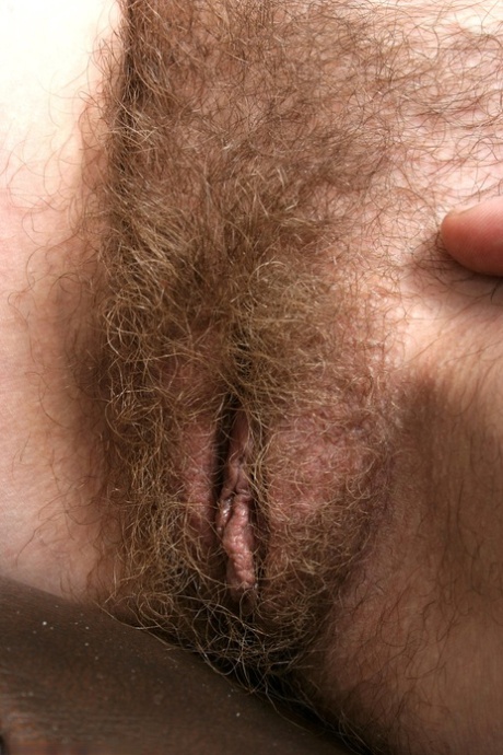 hairy vagina beautiful porn archive
