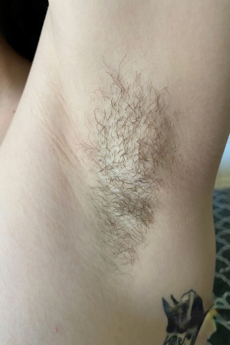 dlakava vagina besplatni seksi galerije