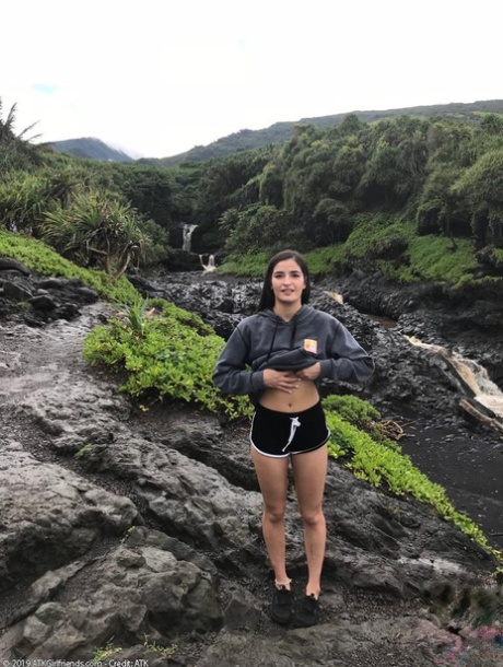 bosque desnudos xxx imágenes