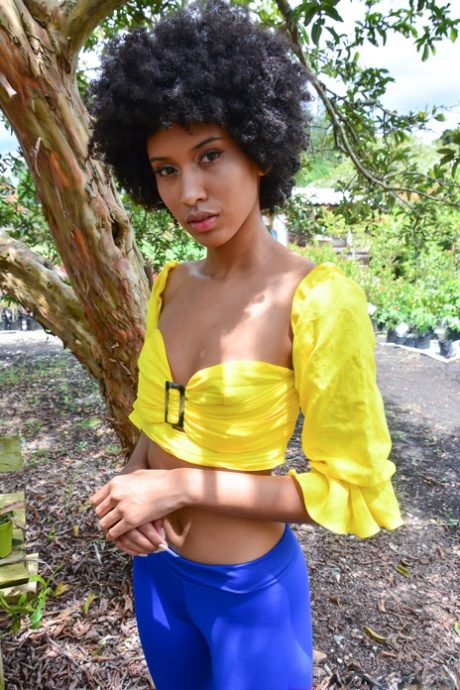 afroamericano sexo xxx archivo