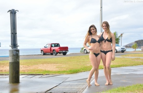 adolescente afeitada mejor arte galerías