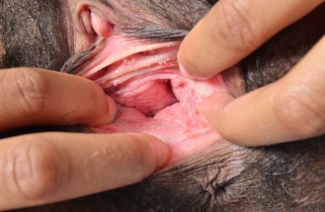 black pussy close up exclusive image