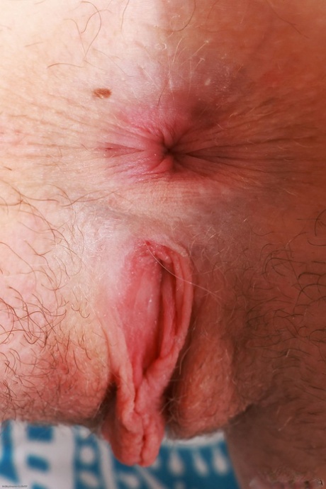 asshole close up sexy photo