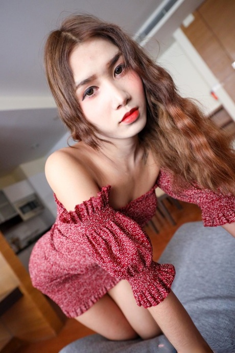 Ladyboy Annie top actress image