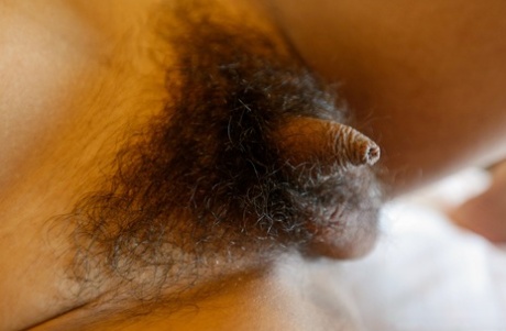 haariger Ladyboy top hd galerie