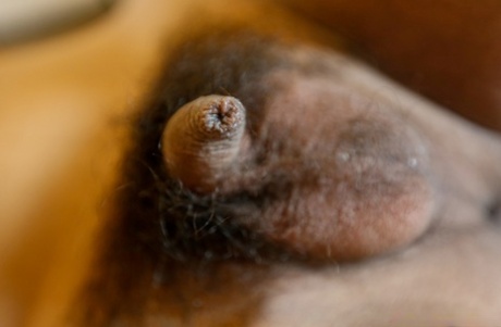 Ladyboy de pene pequeño arte erótico fotos