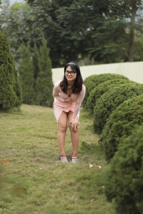 garis kecokelatan xxx gratis arsip