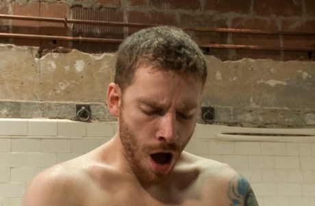 rogacz darmową pornografię kolekcja