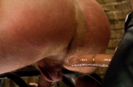 finay pornografii zdarma fotografie