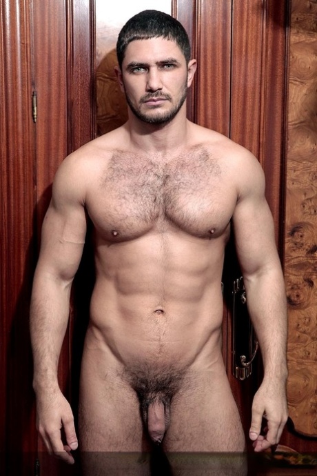 hairy gay pornographic img