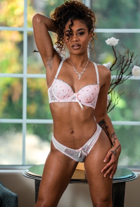 bdsm negro perfecto caliente archivo