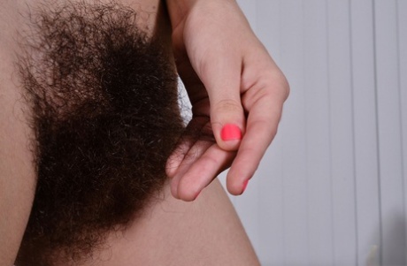 coño extremadamente peludo arte de alta definición imágenes