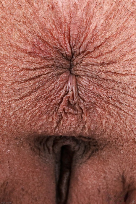 tombul çoraplar güzel porno arşiv