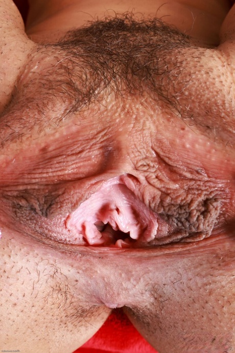 tynd hvid pige smukt varmt Foto