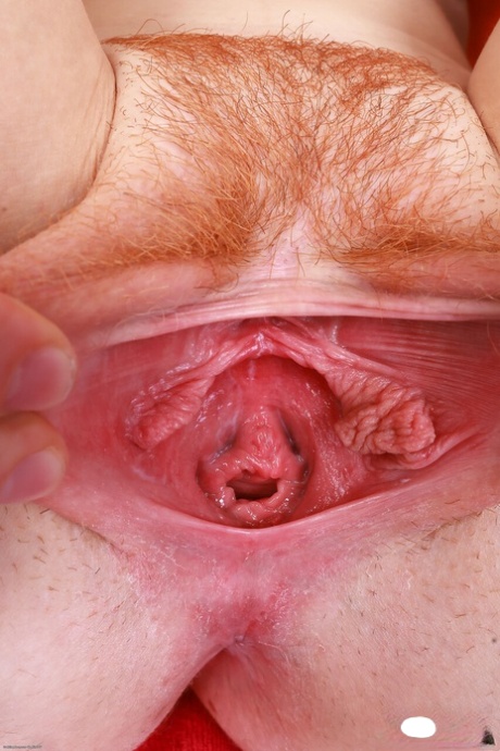 latina solo sexy xxx photo