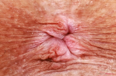 azijski analni zjape pornografski arhiva