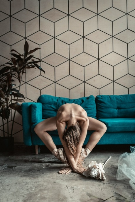 ballerina top pic