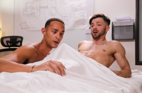 amatööri homo pornografinen hd kuva