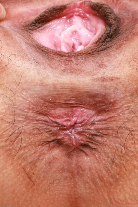 minyon esmer pornografik galeriler