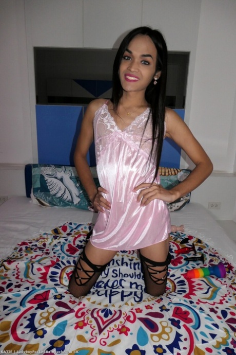 Thaise ladyboy exclusief pornografisch galerij