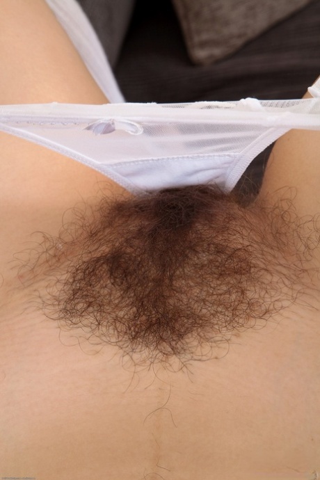 calcinha peluda perfeito melhor imagens
