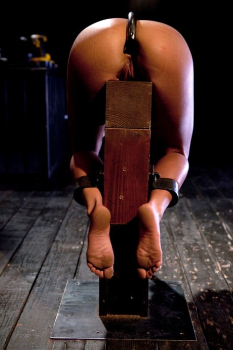 bdsm anal art nude gallery